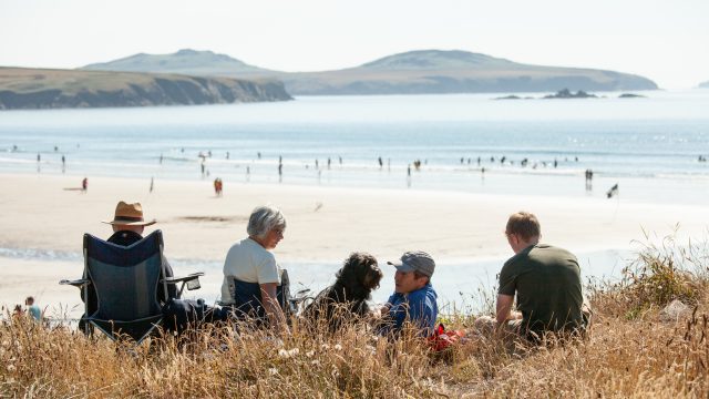 which beaches in pembrokeshire allow dogs