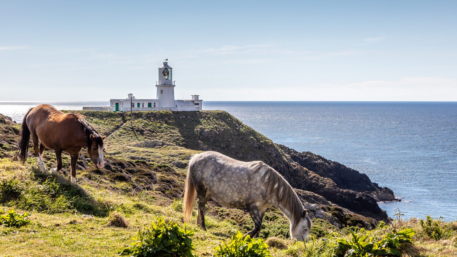 National Park Management Plan - Pembrokeshire Coast National Park