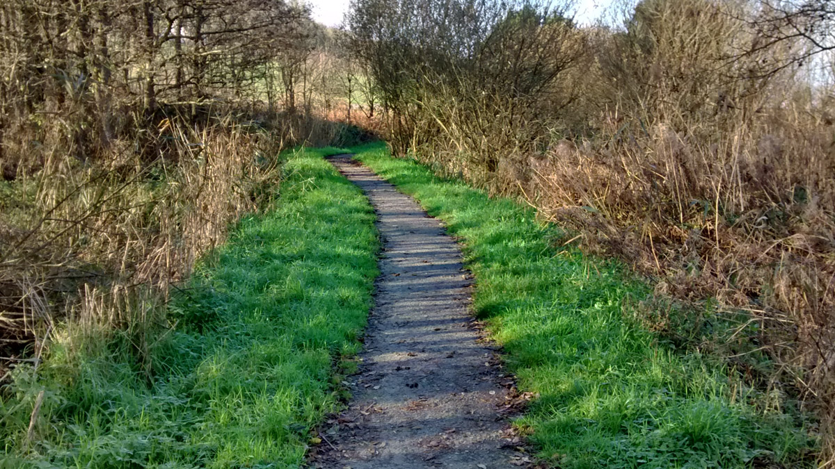 Poppit Marsh Wheelchair Path