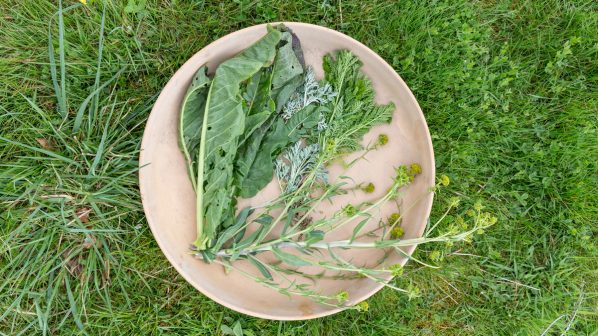 Plate of fresh herbs at Castell Henllys Iron Age Village