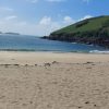 Sandy beach on a sunny day with grassy headland jutting out into the sea to the right hand side. Location is Watwick Bay, Pembrokeshire