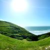 View of a beach from a grassy field behind a stone wall on a sunny day with hardly a cloud in the sky.  Location pictured is Druidston, Pembrokeshire