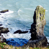 Limestone stack jutting out of the sea next to a grassy cliff edge with rough seas lapping the shore