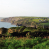 View across a grassy clifftop to a rugged coastline in the distance with houses scattered across the clifftop.