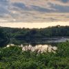 View across a serene pond surrounded by green trees. Location pictured is the Bosherston Lily Ponds, Pembrokeshire