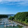 A number of boats moored in a marina flanked by green wooded areas on either side. The water in the marine is a greeny colour and very calm. In the background you can see the entrance to the marine with houses on the cliffs in the far distance opposite the marine. Pictured location is Neyland Yacht Haven, Pembrokeshire