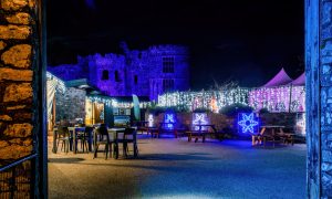 Carew Glow walled garden