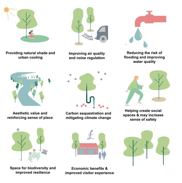 Urban Tree Planting Strategies - Pembrokeshire Coast National Park