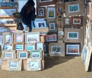 Image of driftwood displays